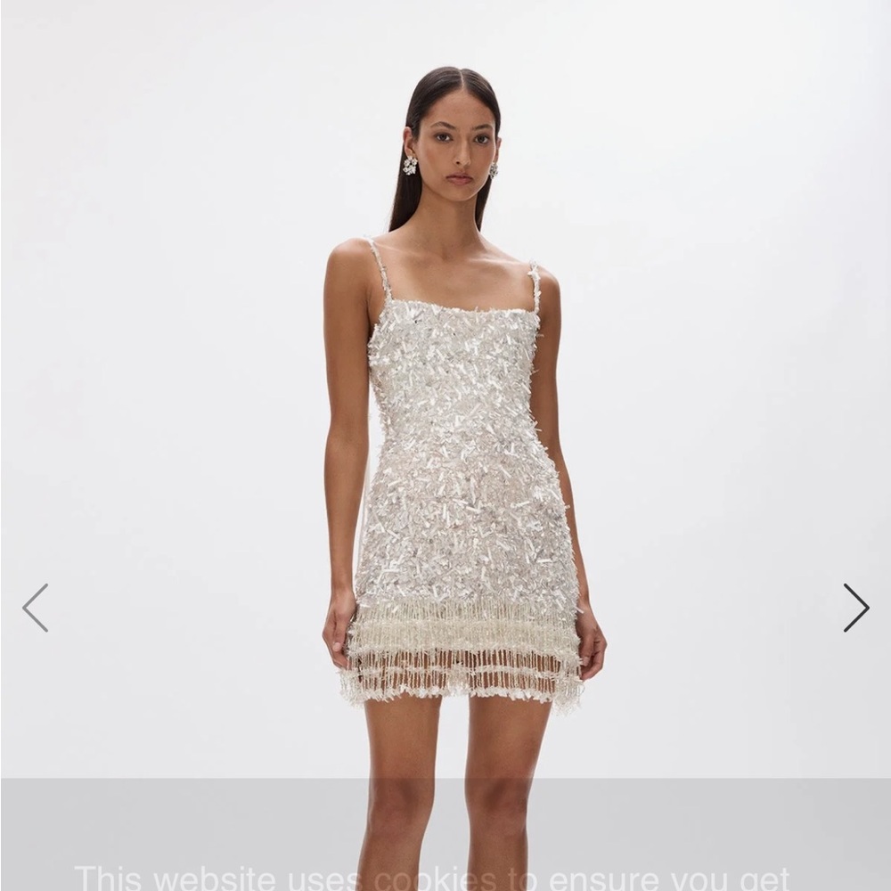 Rachel Gilbert beaded dress